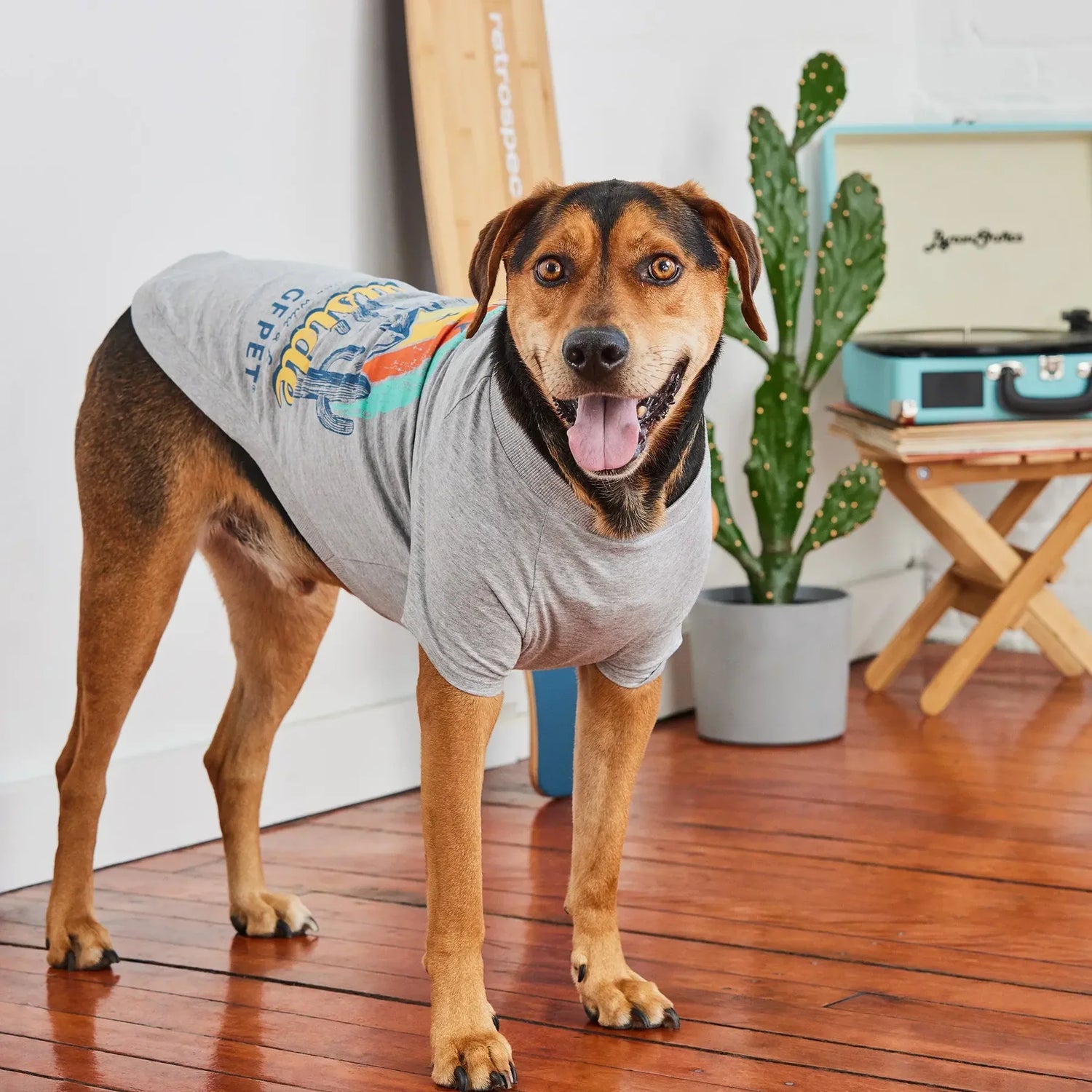 Pet Apparel