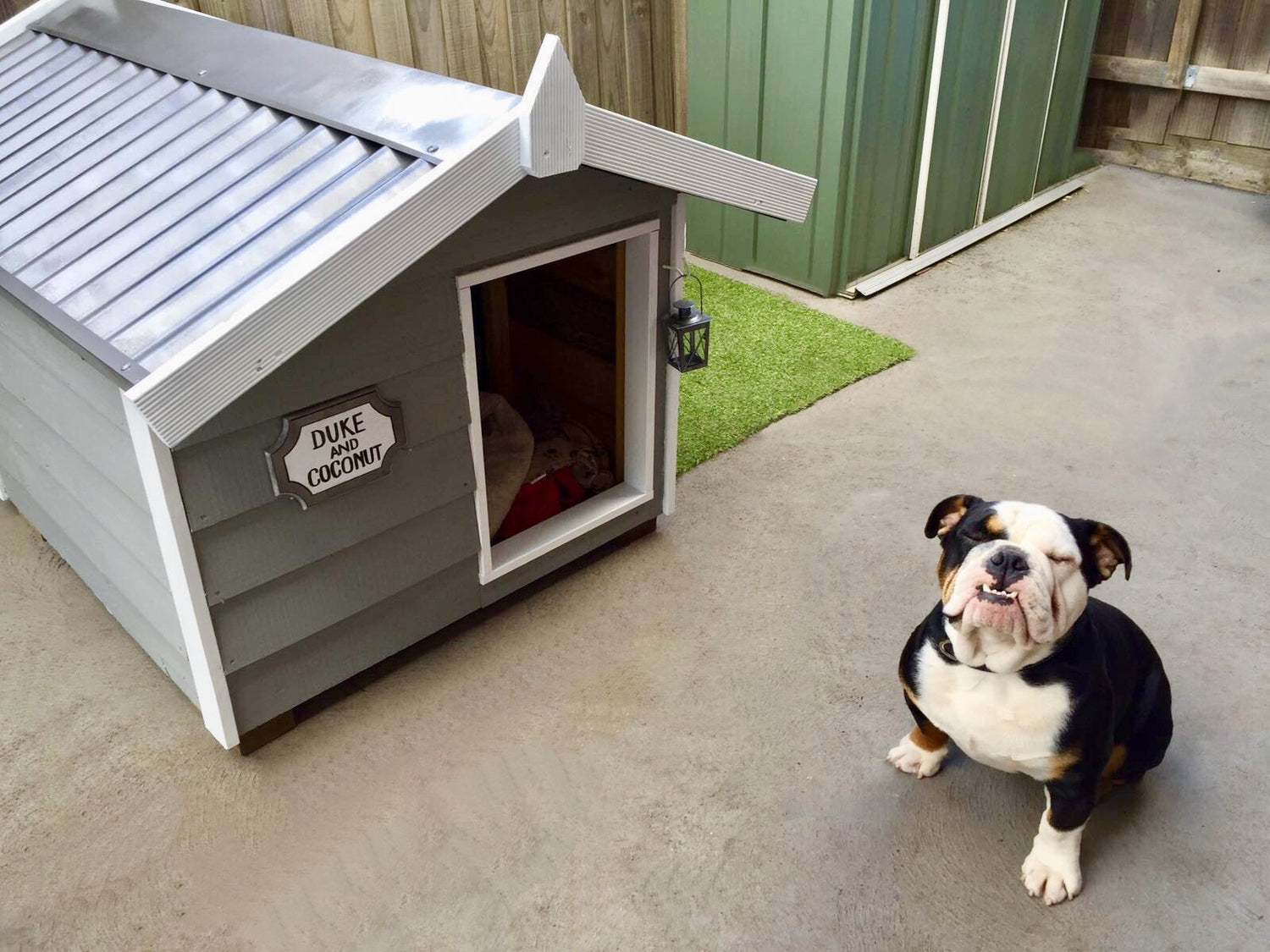 Pet Homes